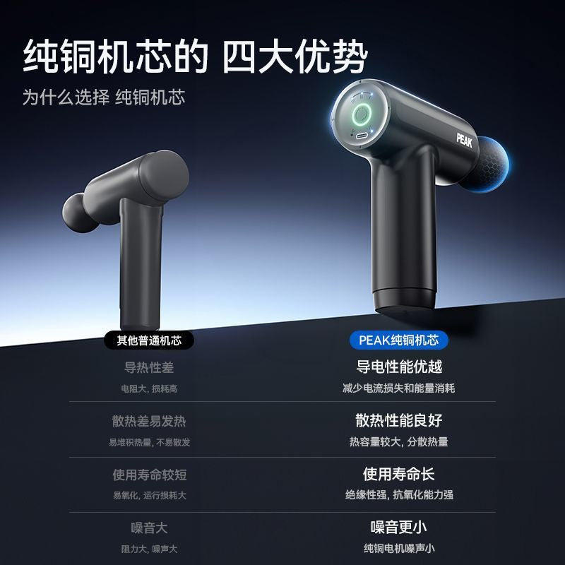 Muscle Massage Gun with 4 Heads FH-820