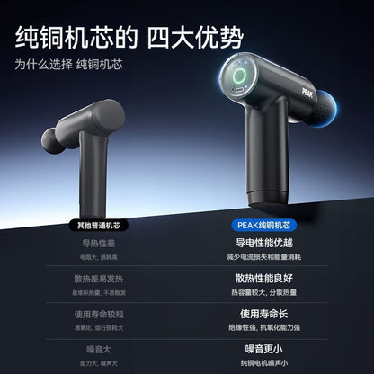 Muscle Massage Gun with 4 Heads FH-820